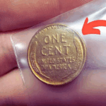 The Rare Bicentennial Quarter Valued at $2.5 Billion